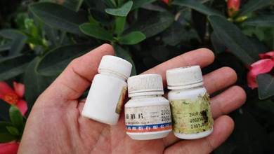 5種「過期藥」別扔，磨成粉養花，代替生根粉營養液，殺菌防病害