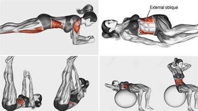 30張「腹肌訓練」圖譜，教你腹肌各部位如何練習，照著做的都有馬甲線了
