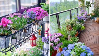 沒有院子，陽台有吧？把自家小陽台改造一番，也能變成美美的花園