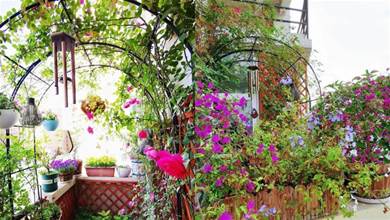 她用一年時間，把家里12㎡陽台，打造成天天都有花看的空中小花園