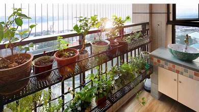陽台空間小，巧妙利用「三工具」，0.5㎡的空間也能變成大花園