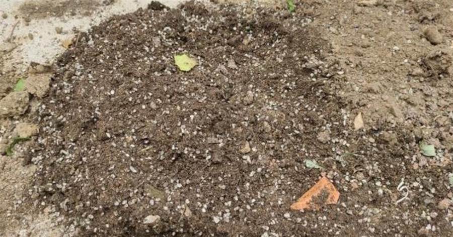 養花土板結？別急，工地撿點「配土神器」，疏松土壤，養啥旺啥