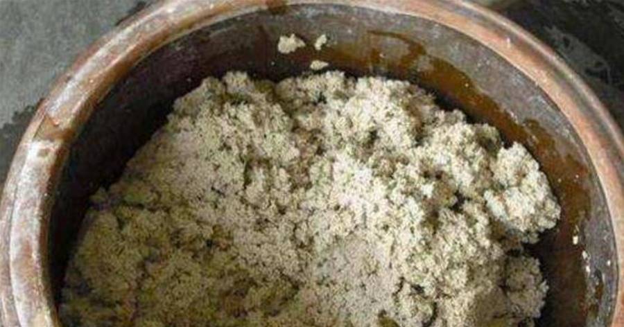 養綠蘿、吊蘭施肥用什麼？喂點「豆渣」，葉子不黃、竄爆盆
